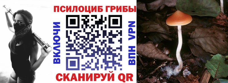 Галлюциногенные грибы Psilocybe  Купить где  Верхний Тагил 